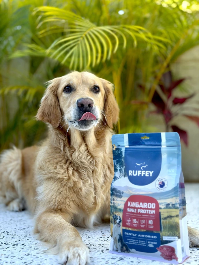 Dog with Ruffey