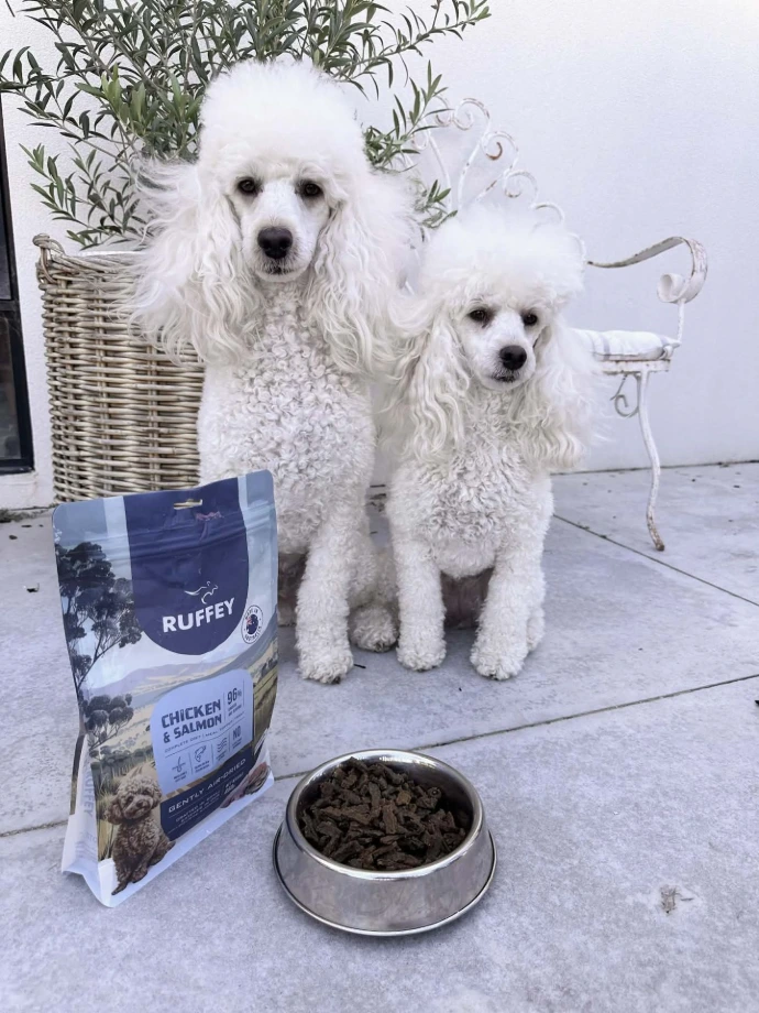 Dog with Ruffey