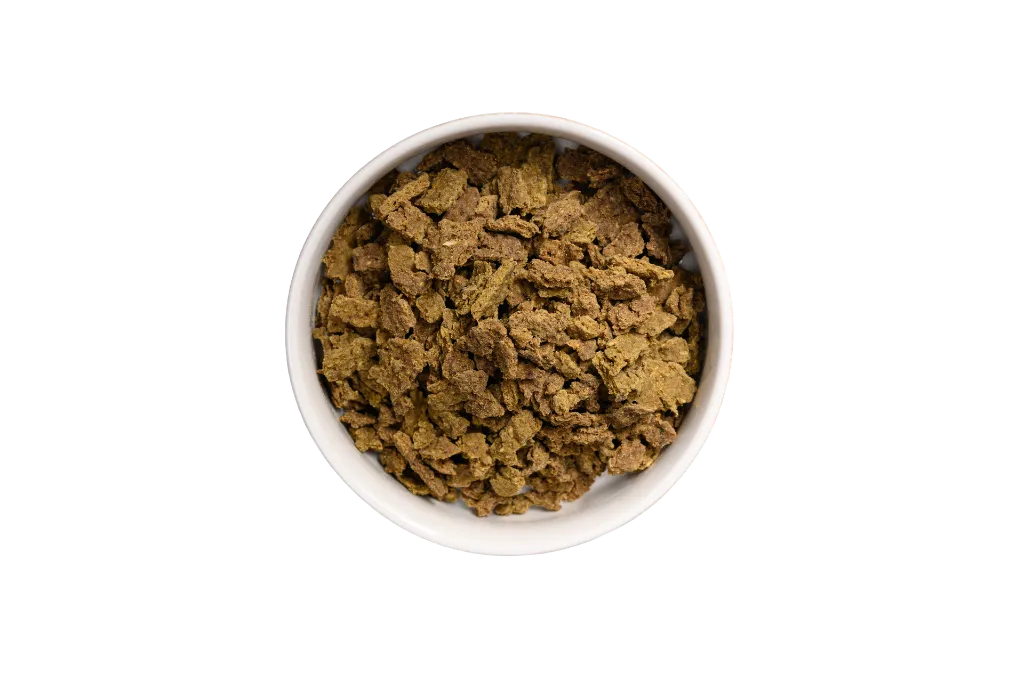 DOG_LAMB-no BG.webp